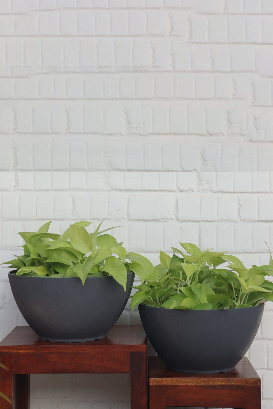 Ara 32 Pot (set of 2)