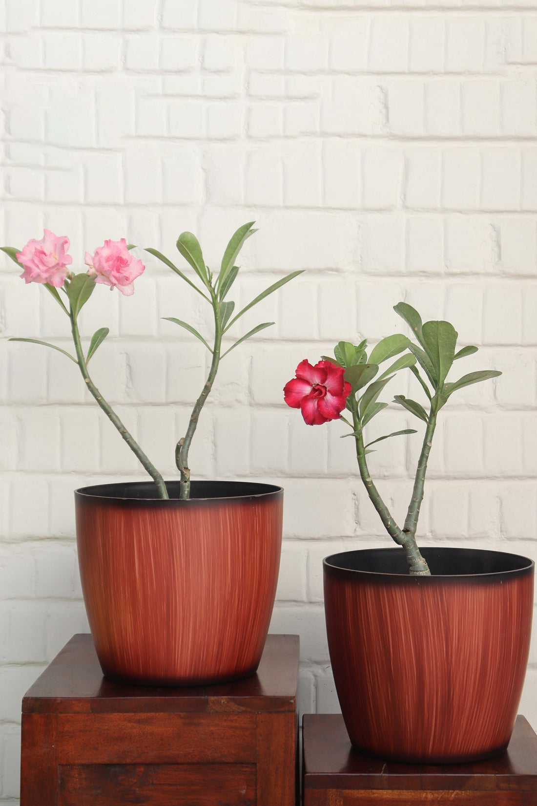 Ronda Wooden Big Planter (Set of 2)