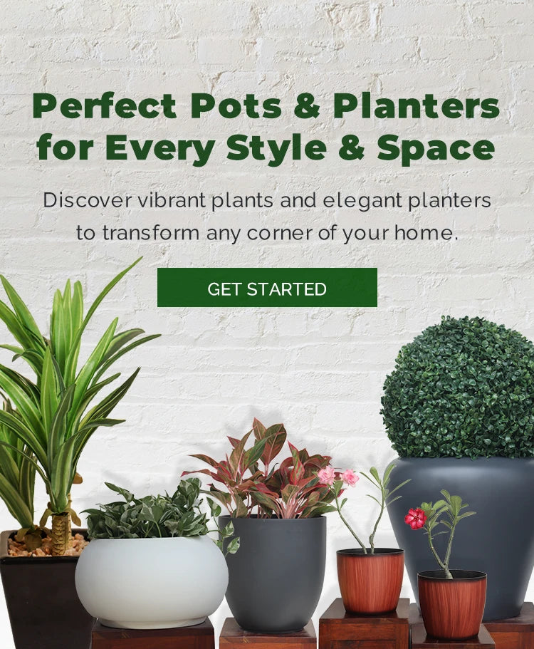 Planters Banner Image