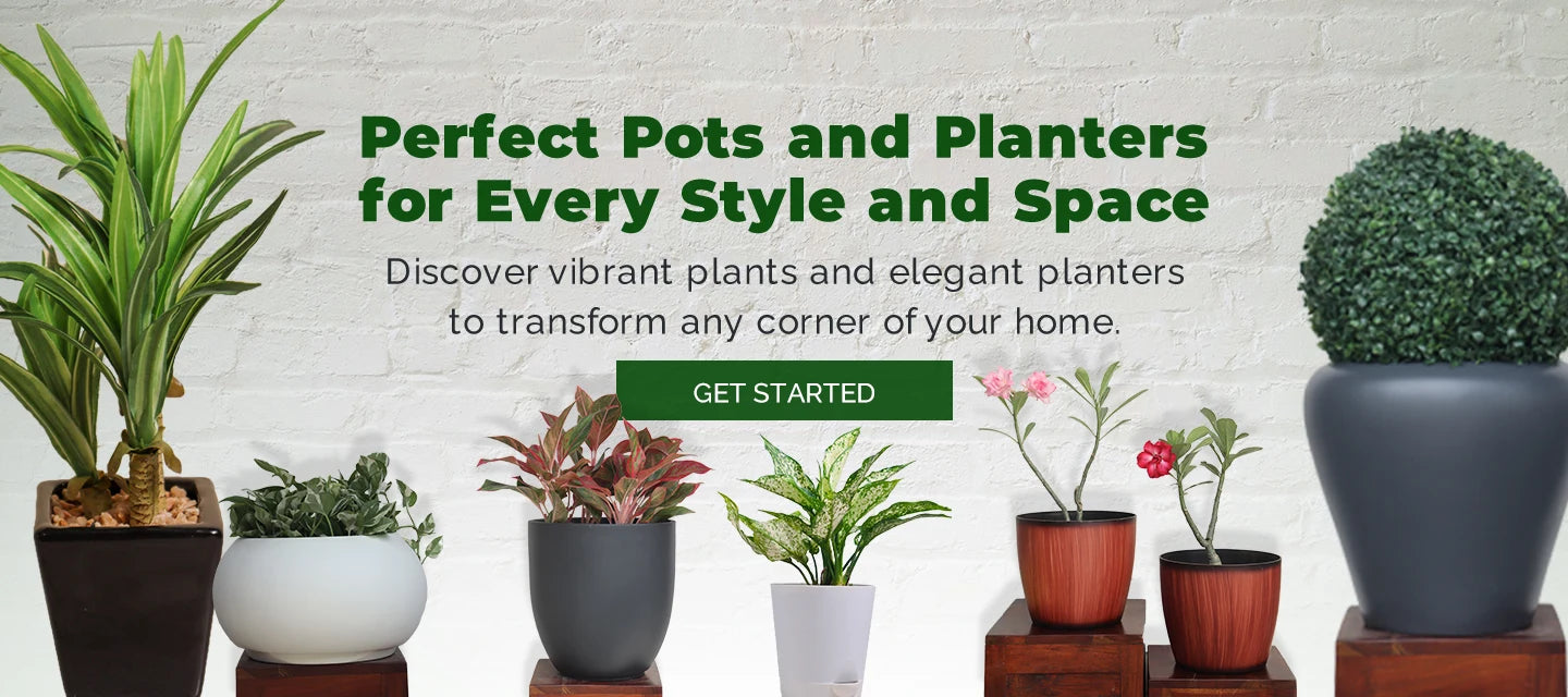 Planters Banner Image